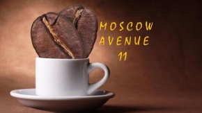 Отель Moscow Avenue 11  Кишинёв